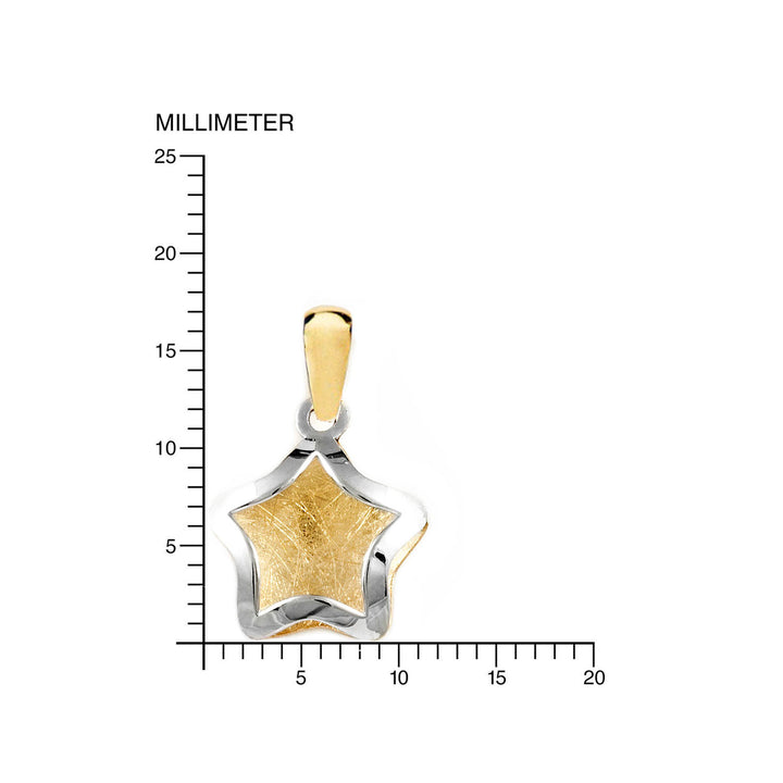 Colgante Oro Bicolor Estrella lisa con fondo matizado (9kts)